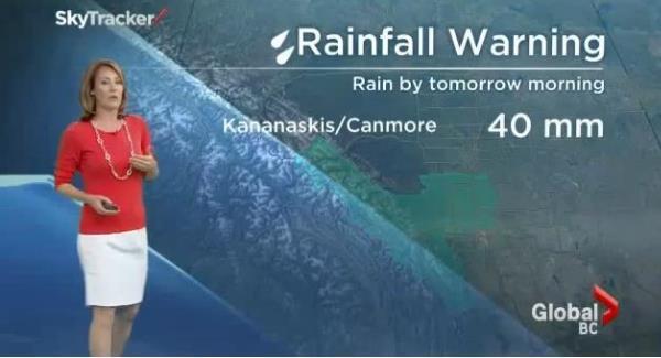 Giant spider freaks out Canadian weather lady