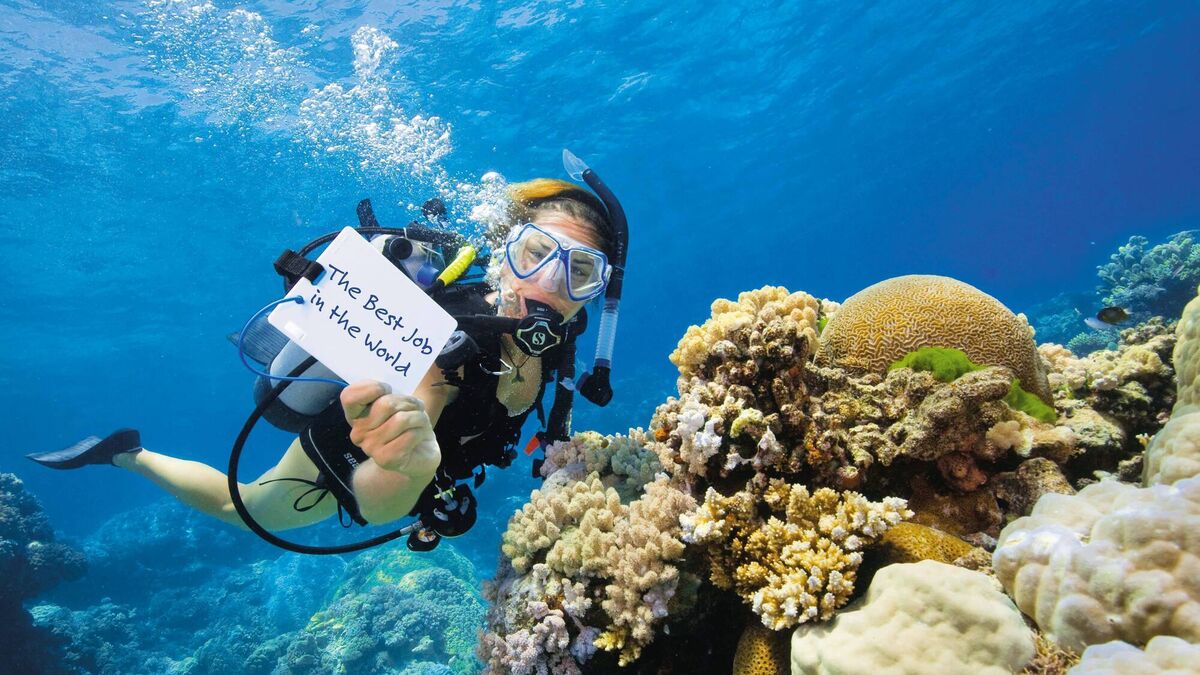 Great Barrier Reef ‘critical’ as climate change hits natural sites but