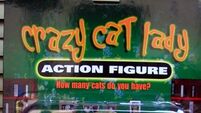 The crazy cat lady action figure