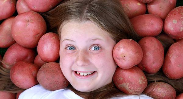 Google thinks we love spuds - but hate gingers?