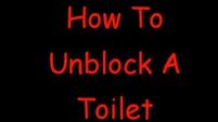 An extreme method of unblocking your loo - the Irish way