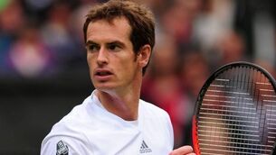 Ferguson and Hodgson to back Murray