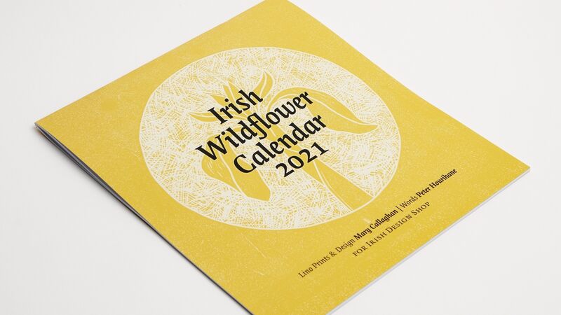 Weekend Loves: educational toys, teen healthcare and a magic hairbrush!