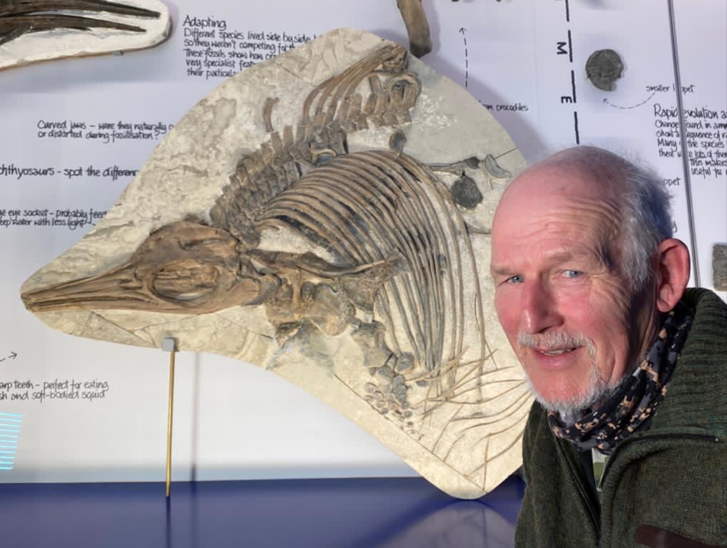 New prehistoric ‘sea dragon’ discovered off UK coastline