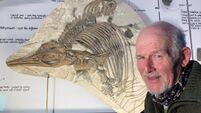 New prehistoric ‘sea dragon’ discovered off UK coastline