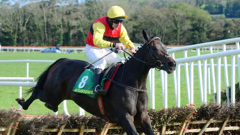 Tramore tips: Exit To The West will be hard to beat in Beginners’ Chase