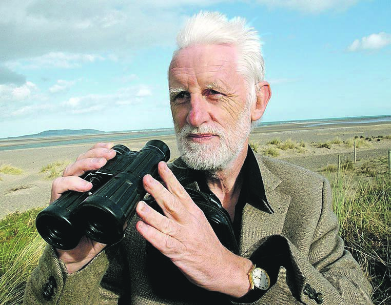 Richard Collins: 'Whales and birds are the wild world's great vocal communicators.'