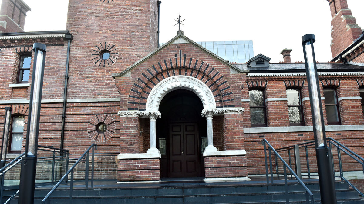 Addict threatened to stab man after waking couple during burglary, Cork court told - Vimarsana News