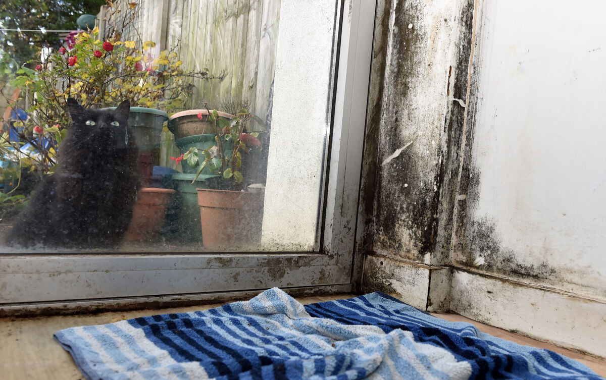 Dampness at the home of Sam Barry. Picture: Eddie O'Hare