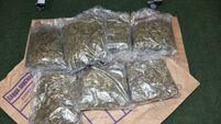 Man arrested following seizure of €140k of cannabis and €30k of stolen goods in Dublin