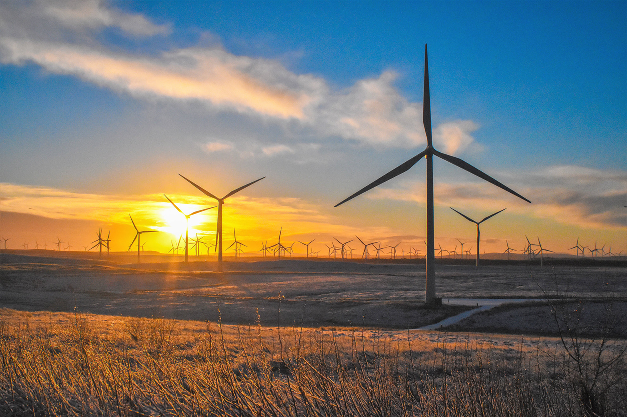 Climate summit: Xi Jinping fleshes out China’s net zero strategy