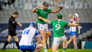 <p>Limerick's Gearoid Hegarty and Will O'Donoghue celebrate as Limerick are All-Ireland Hurling Champions. Picture: INPHO/Ryan Byrne</p>