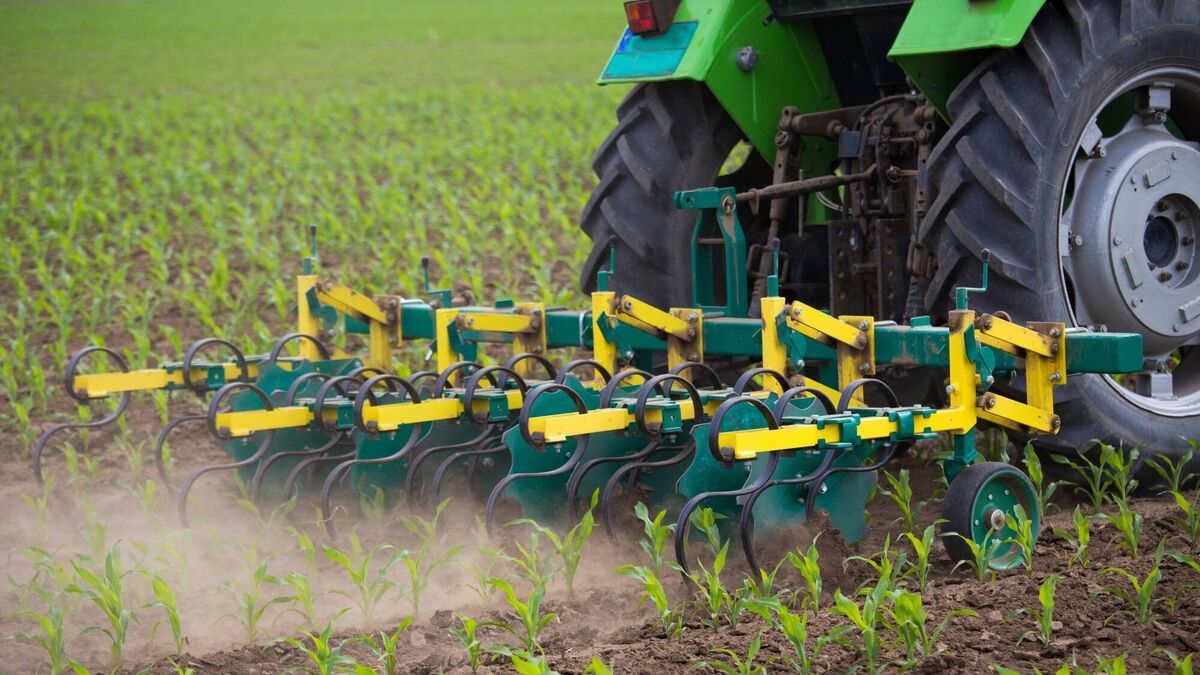 Climate action redraws the map for ambitious Irish farmers - Vimarsana News
