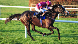 <p>Castra  Vetera can come out on top in a competitive  maiden hurdle. Picture: Healy Racing.</p>