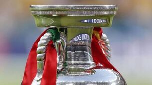 Germany will bid for Euro 2024
