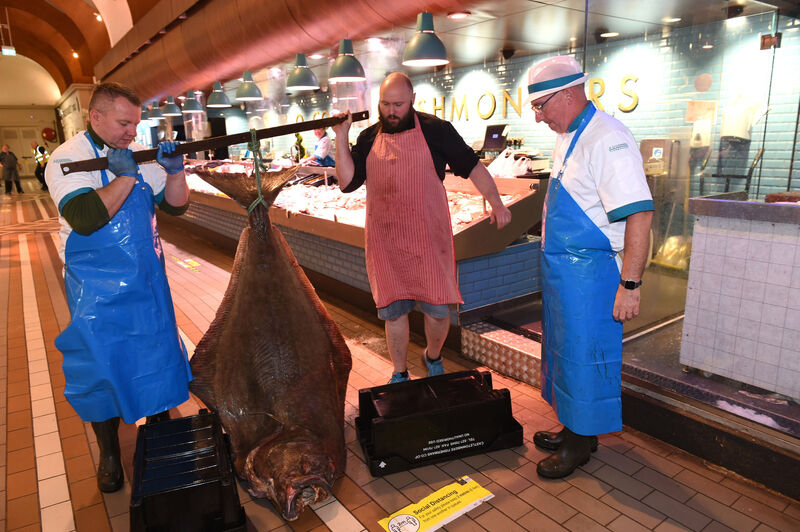 Fishmongers (right) Pat O'Connell and Krzysztof Karasiewiez with (centre) butcher John Boyling showing off a massive (approx 100kg) halibut flatfish landed by a Castletownbere trawler, caught off the Donegal coast. Photo: Larry Cummins Fishmongers (right) Pat O'Connell and Krzysztof Karasiewiez with (centre) butcher John Boyling showing off a massive (approx 100kg) halibut flatfish landed by a Castletownbere trawler, caught off the Donegal coast. Photo: Larry Cummins
