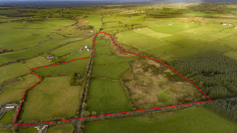 38-acre residential farm in north Cork aiming to add up to the sum of its parts