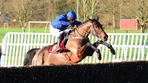 <p>Yukon Lil looks the part in the opening novice chase at Navan. Picture: Healy Racing</p>