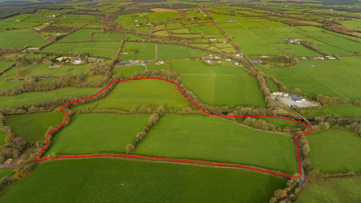 Brace of non-residential farms near Fermoy attracting strong interest - Vimarsana News