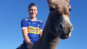 <p>Outstanding in his field: Ciarán Ó Flaithearta is part of Rang 2020 on TG4</p>