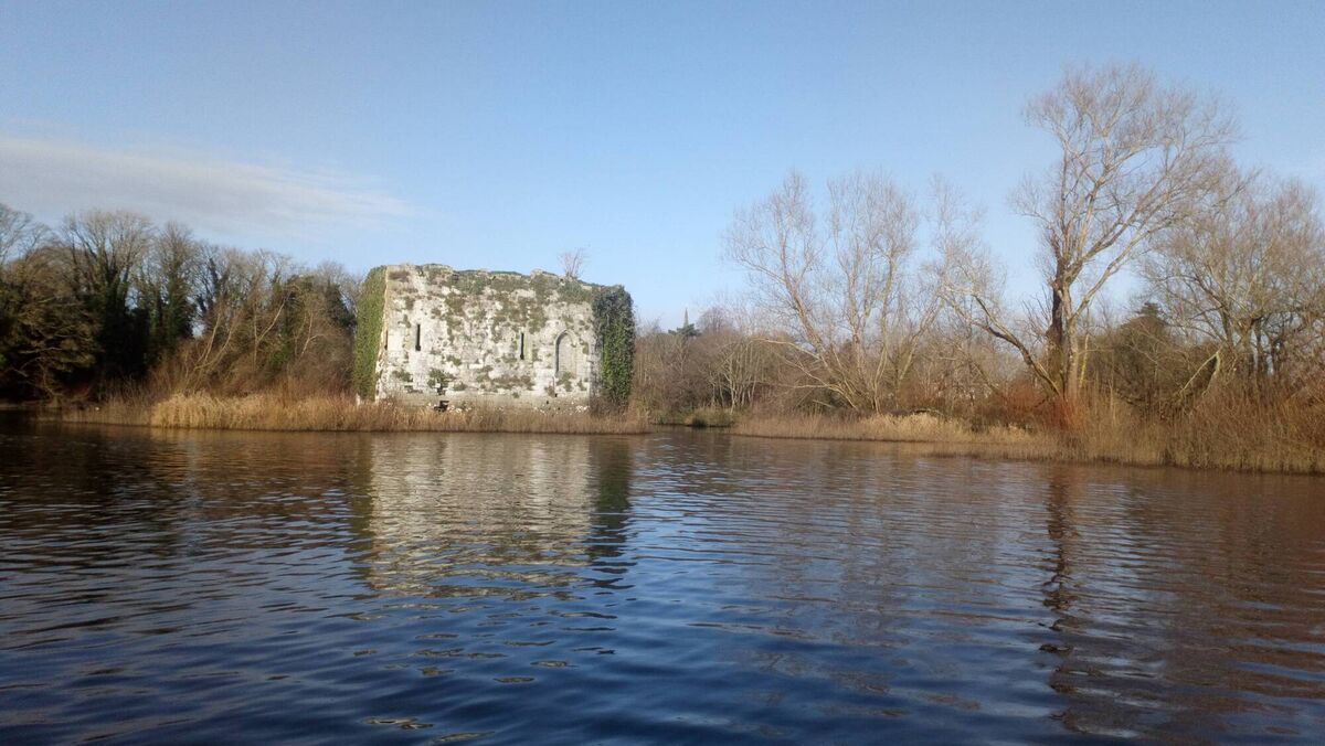 Caslaunnacorran, St Thomas's Island on the River Shannon, Co Clare. Picture: Dan MacCarthy