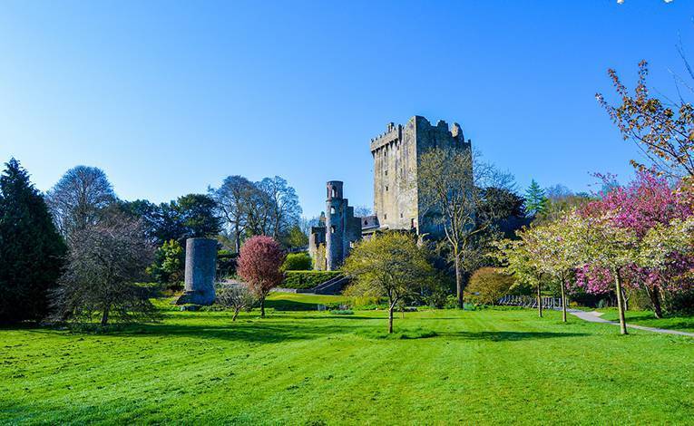 Nicole Glennon: How tourism hopes to put the year of Covid-19 behind it  