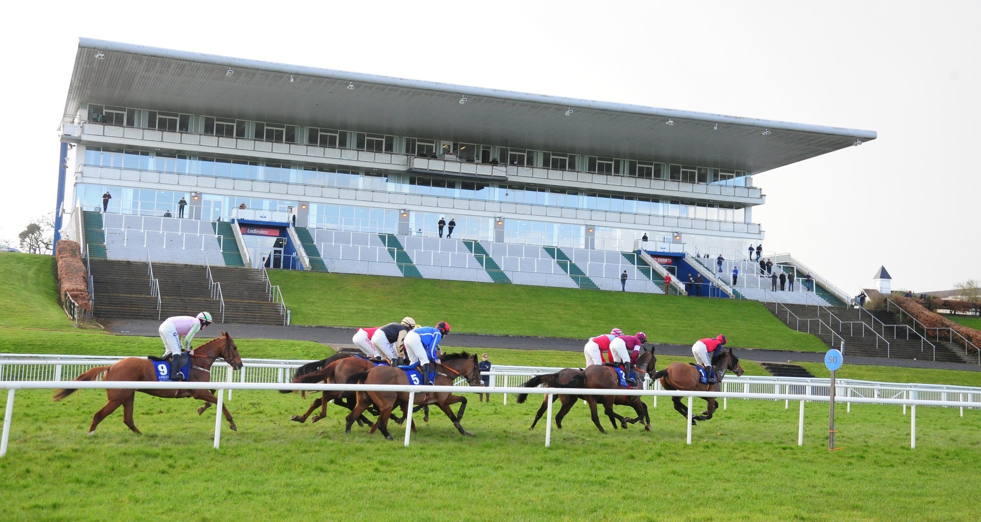 Even without crowds Limerick Racecourse has plenty to shout about