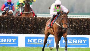 <p>Chacun Pour Soi should make no mistake today. 	Picture: Healy Racing</p>