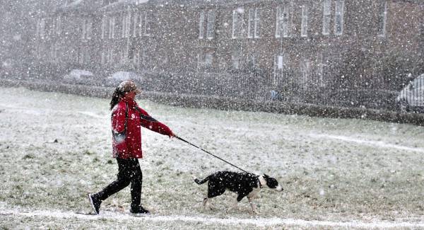 Yellow alert: Further weather warnings issued in wake of Storm Bella 
