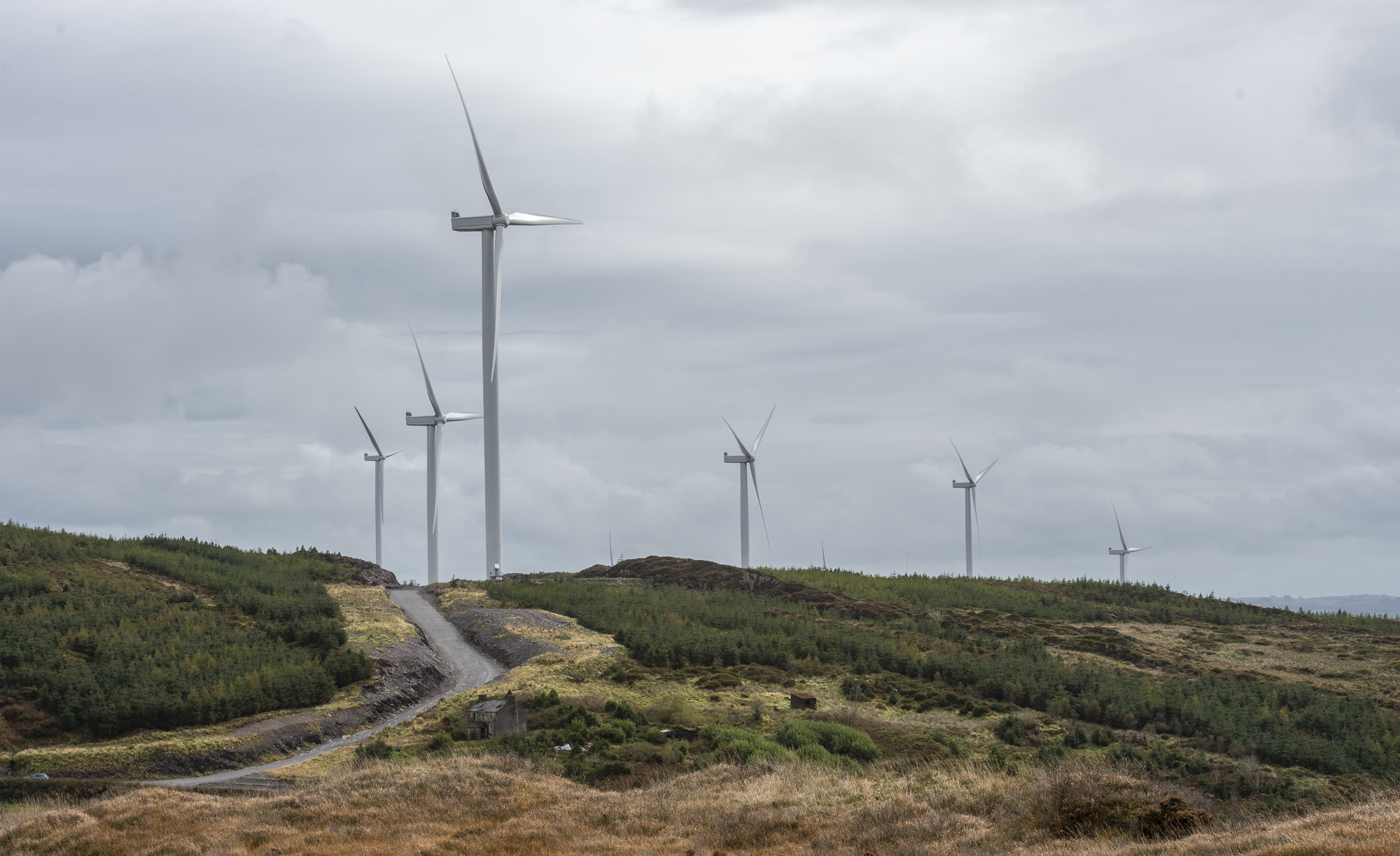 Irish people want to live more sustainably – but only half of us willing to pay for it