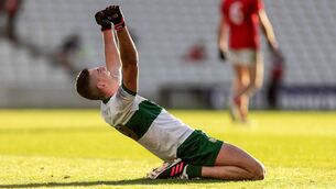 <p>“My first five steps after it were jumps and then I fell to my knees with the emotion. That’s the thing I will probably come back to most and have a little smile every now and again,” says Colin O'Riordan. Picture: INPHO/Laszlo Geczo</p>
