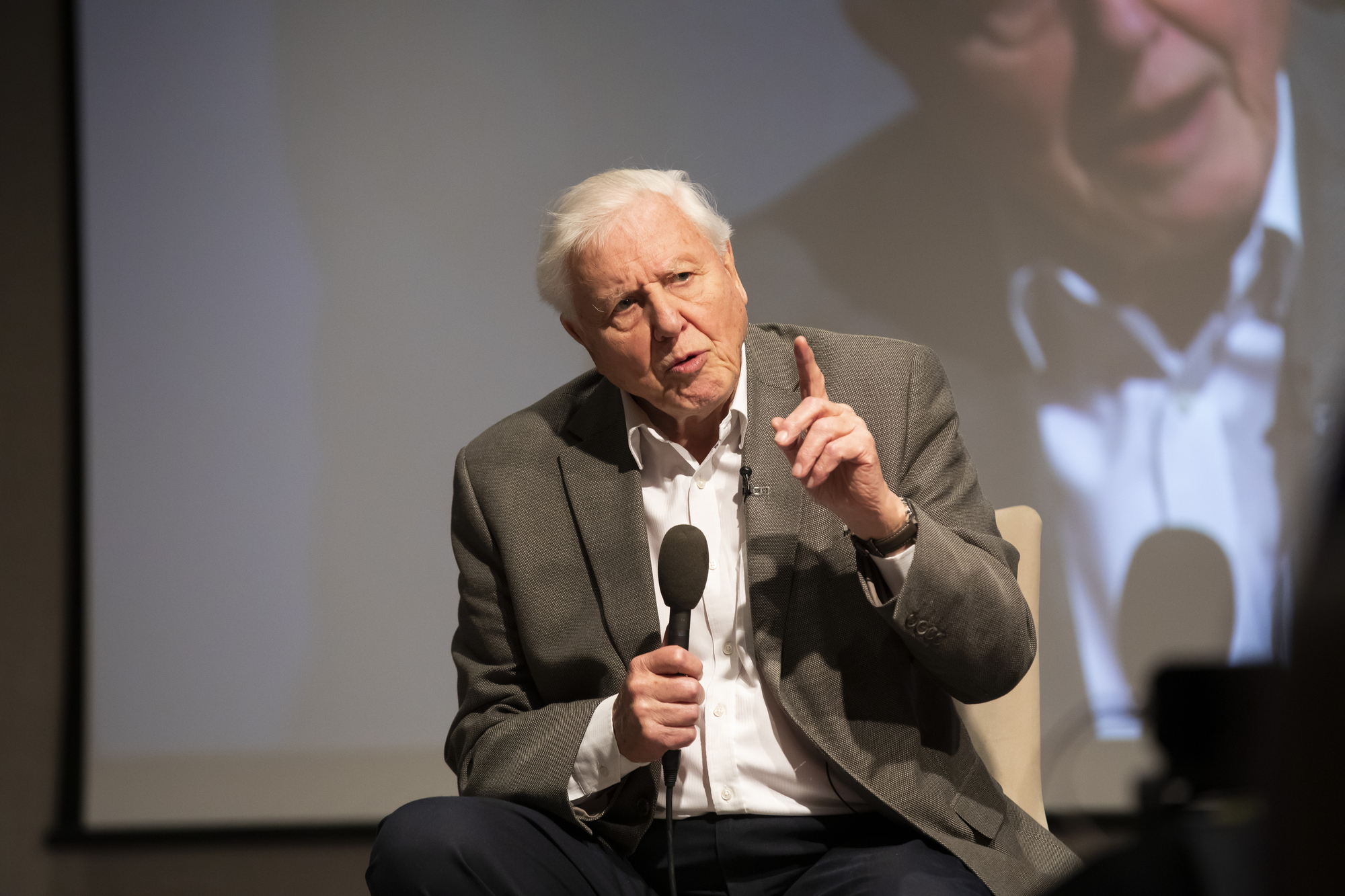 David Attenborough says 2021 could be year for ‘positive change’
