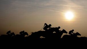 Horse Racing - Winter Derby - Lingfield Racecourse