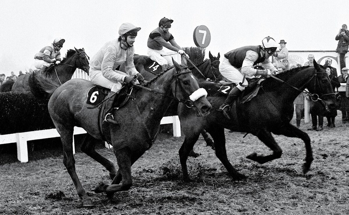 Dawn Run (no. 14) looked in trouble at the last fence in third place trailing behind Wayward Lad and Forgive n' Forget before going on to win the 1986 Cheltenham Gold Cup in one of the most exciting finishes in the race's history. 