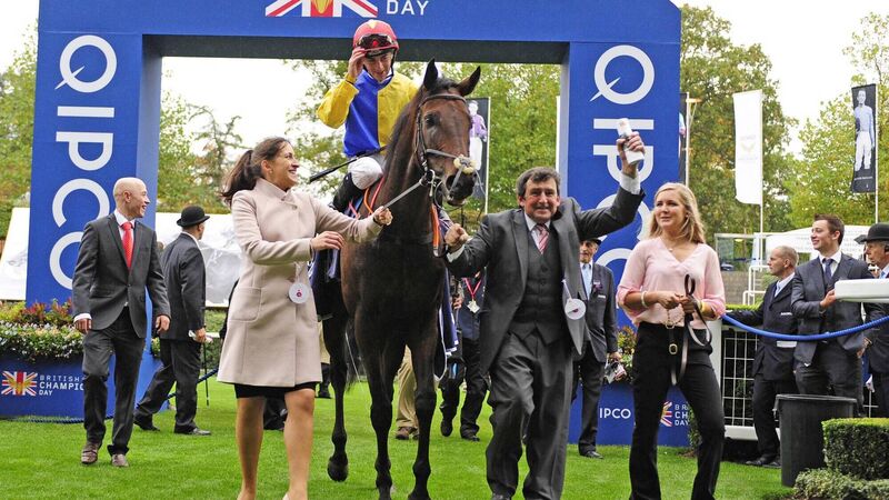 Jessica Maguire: 'Always the worry, a horse that has been on the go so long, and then nothing'