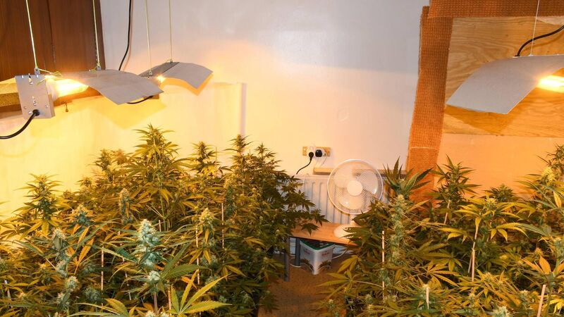 Court appearance for man after €130,800 drugs seizure in Waterford Court appearance for man after €130,800 drugs seizure in Waterford