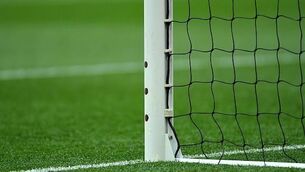 German firm wins FIFA contract for goal-line tech