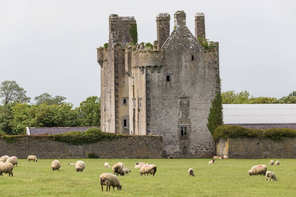 Killaleigh Castle