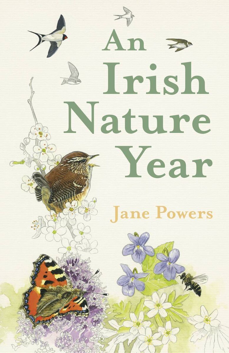 'An Irish Nature Year' by Jane Powers. 