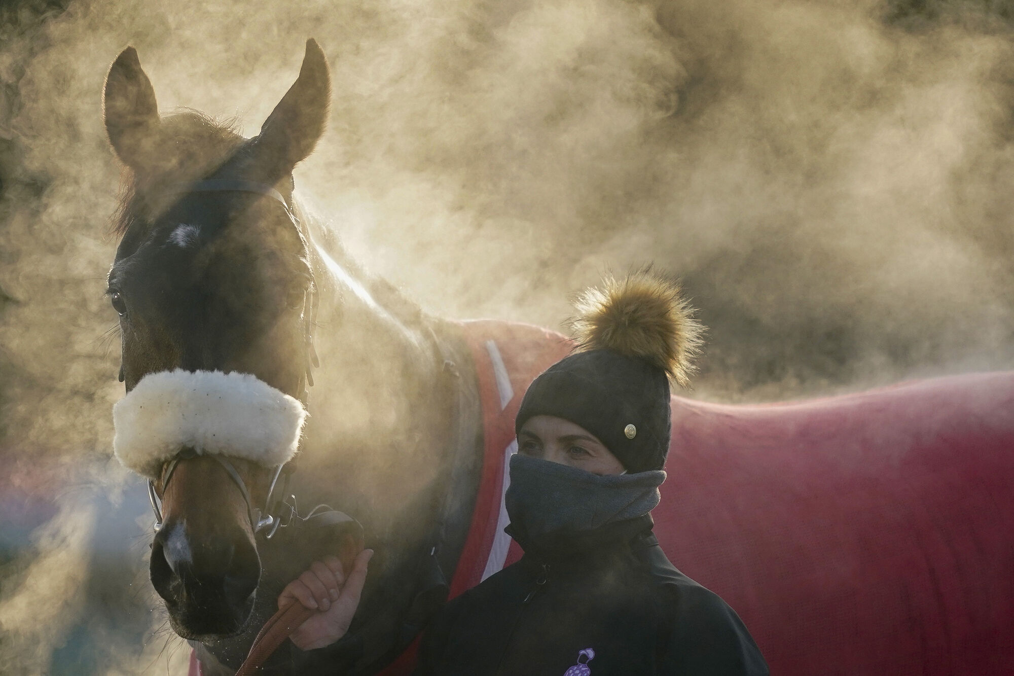 McFabulous bounces back to winning ways in Relkeel Hurdle