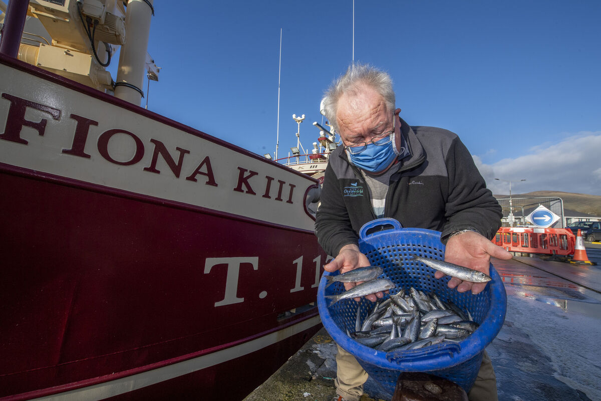 Kevin Flannery: 'I can't see why we can’t look at the potential of anchovies and sardines and develop a fishery.' Picture: Domnick Walsh 