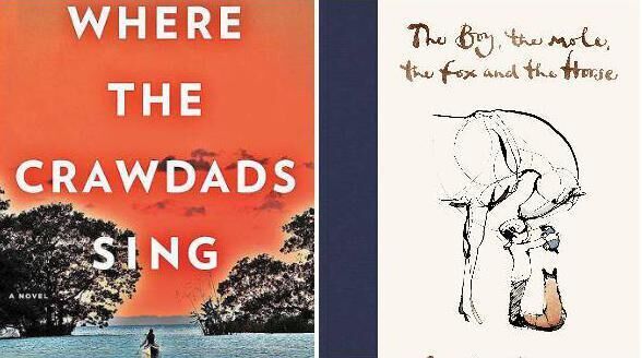 Top sellers included Where the Crawdads Sing, and The Boy, the Mole, the Fox and the Horse. 