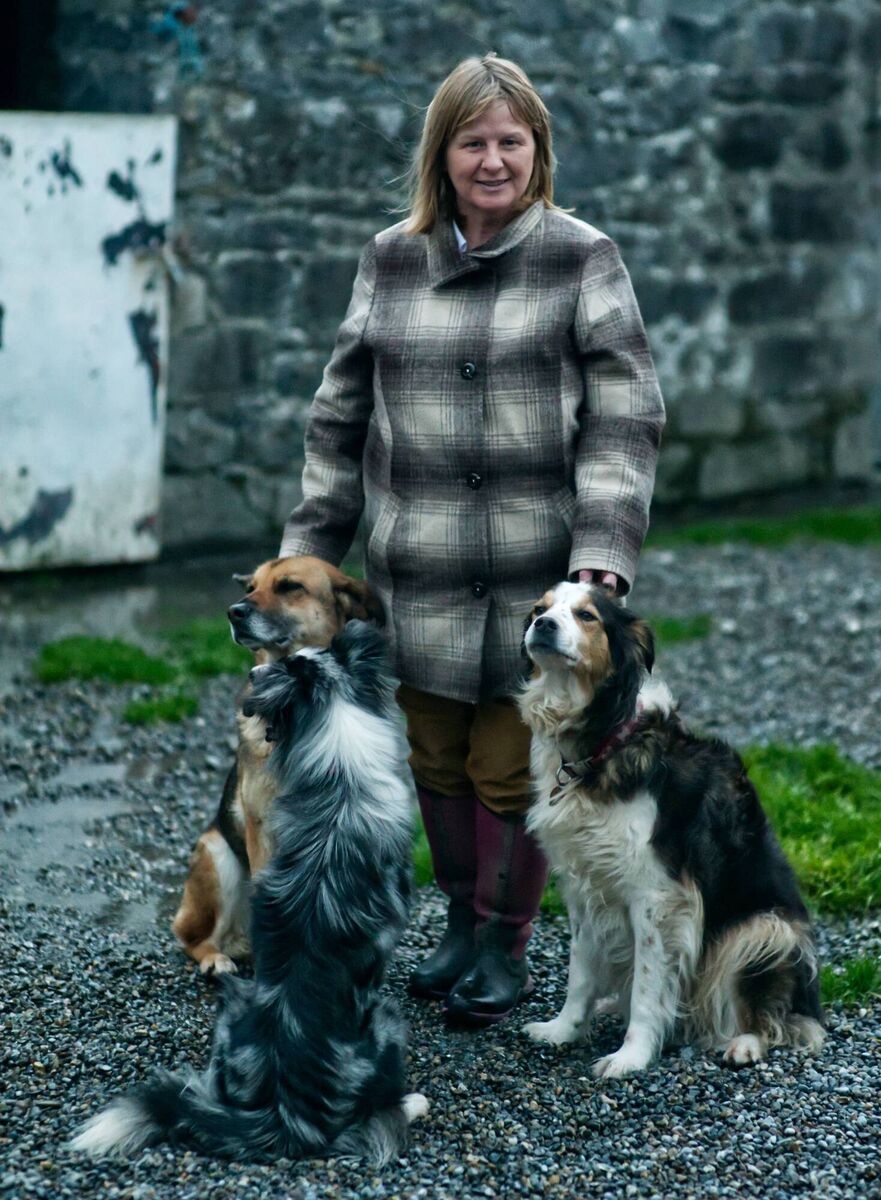 Samantha runs the Canine College, a dog training and behavioural school