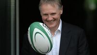 Browne hopes Schmidt will bring Leinster form to Irish post