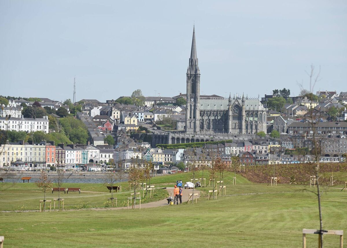 There are more than 200 trees in the park, as well as wildflower areas to promote biodiversity and wildlife habitation.