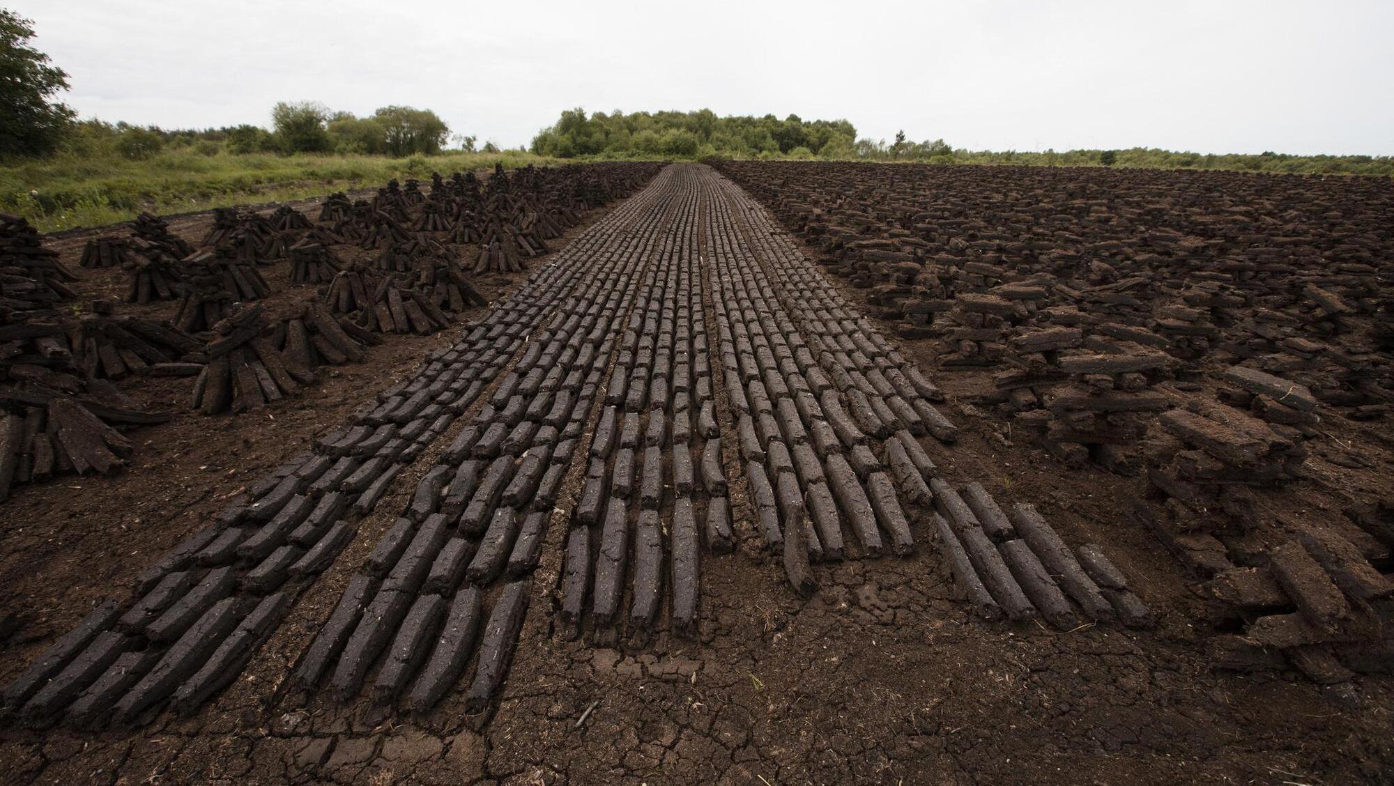Bord Na Móna ends peat harvesting in drive for greener energy production