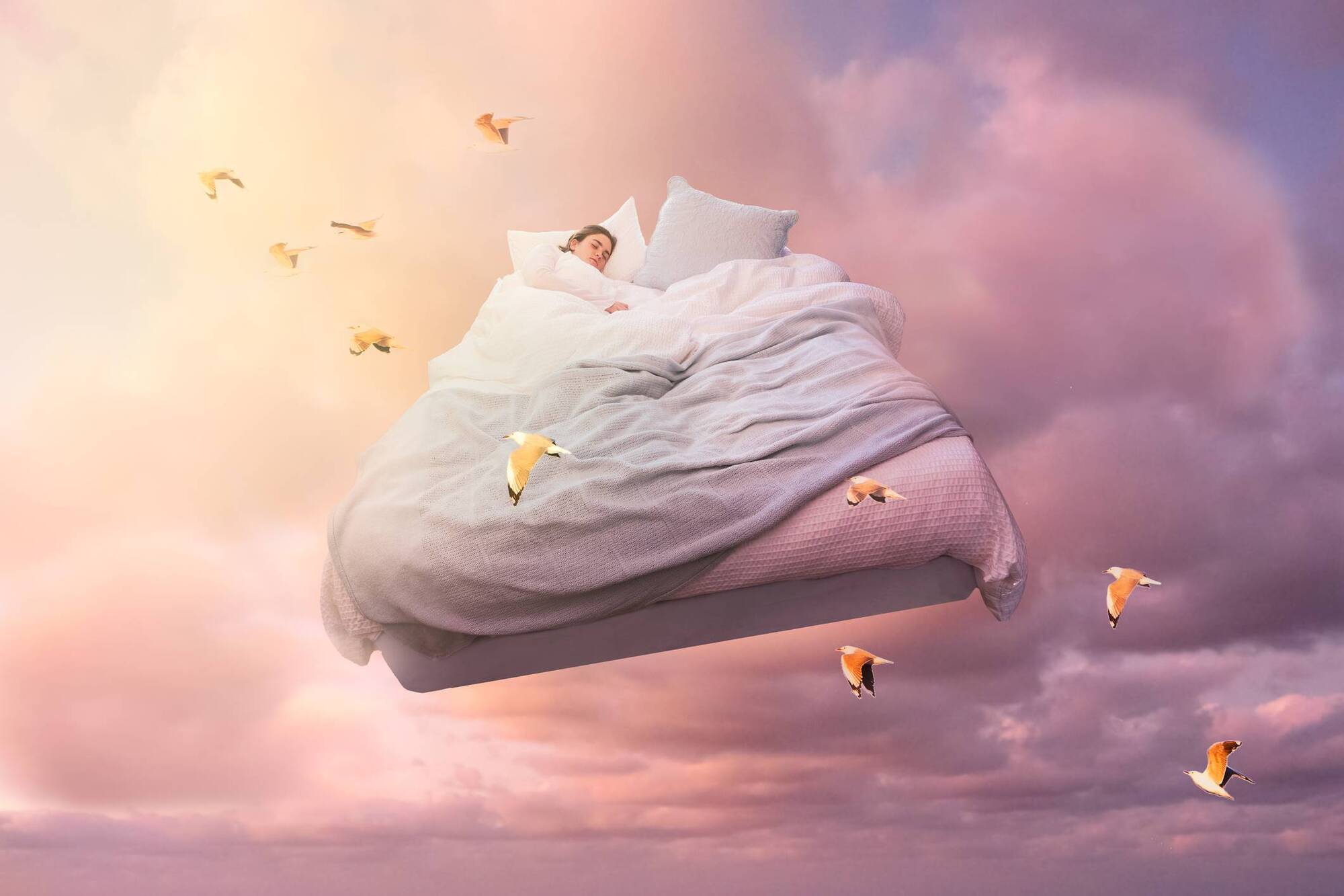 Dream analysis: I blurt out, 'I think I'm in the wrong job' 
