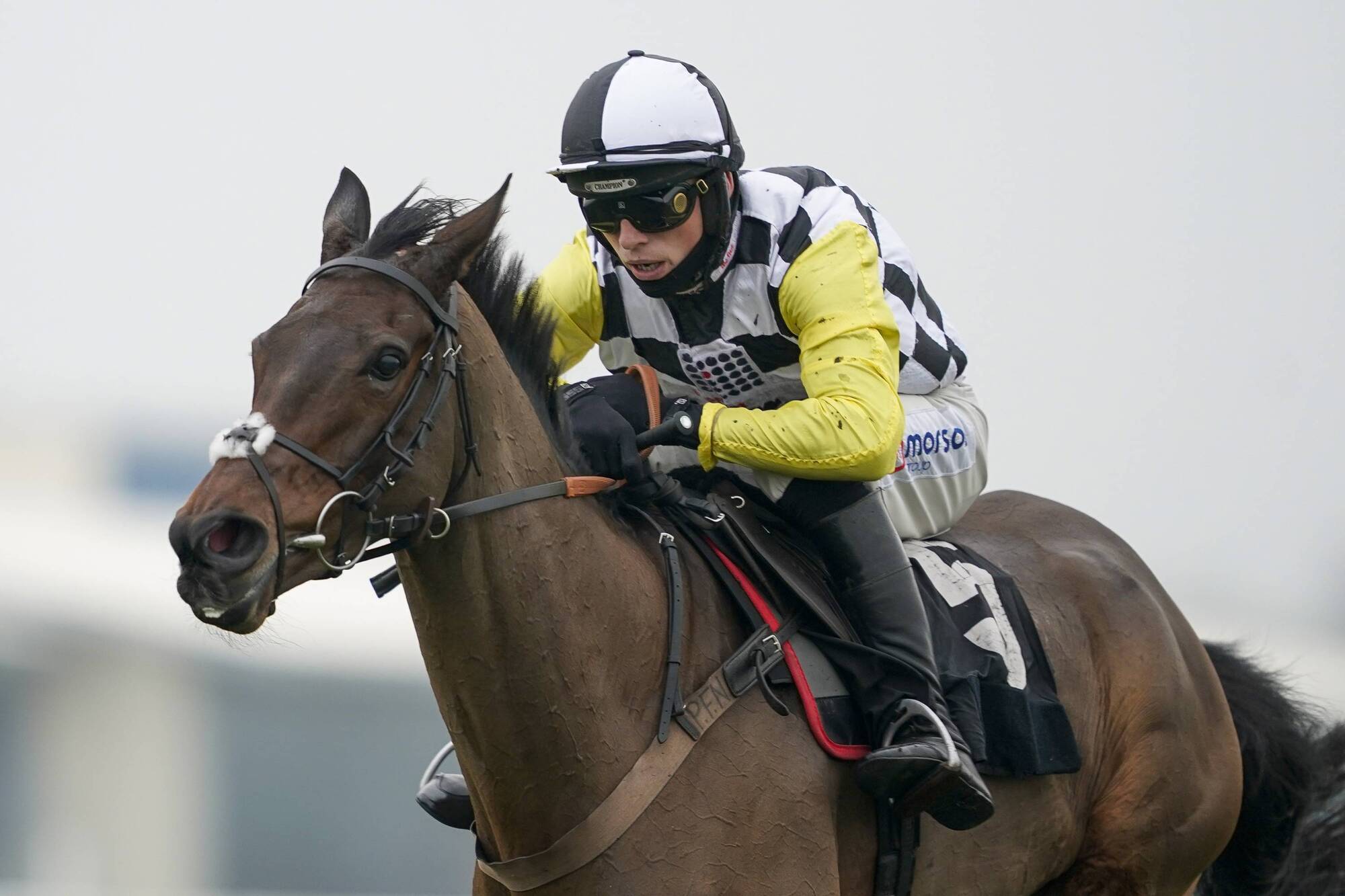 How would the 2021 Cheltenham Festival look without Irish raiders?