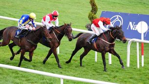 <p>Free Thought and Danny Mullins (right) beats Pictures Of Home (left) and Ensel Du Perche (centre) to win the Support Local This Christmas Maiden Hurdle last month. Pictures of Home can have a better outcome today. Picture: Healy Racing.</p>