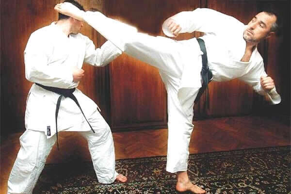 A karate black belt, Bulgarian prime minister Boyko Borisov in action.
